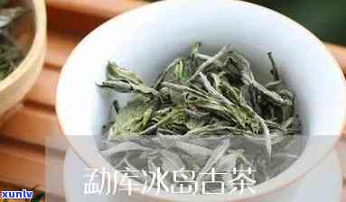 勐库冰岛古茶的功效-勐库冰岛古树茶价格