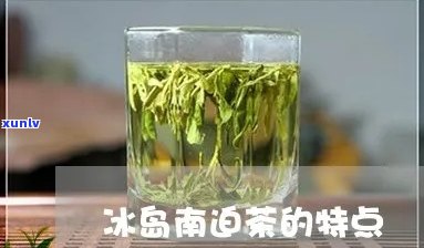 冰岛南迫的茶怎么样，冰岛南迫的茶：口感怎样？