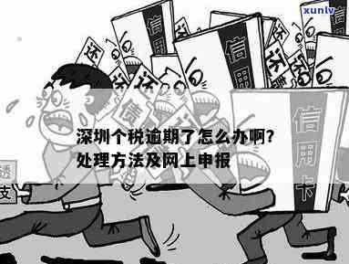 深圳个税逾期了可以网上申报吗，深圳个税逾期，是不是可以在线申报？