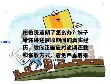 深圳办理逾期分期：银行、公司及手续介绍，逾期申报处罚标准，申请分期还款指南，分期贷金融公司真实性解析