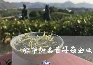 金华产茶叶吗？了解最新消息与产品种