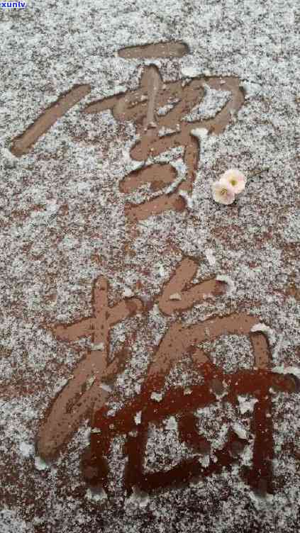 雪花棉翡翠，雪中瑰宝：探索雪花棉翡翠的美丽与独特之处