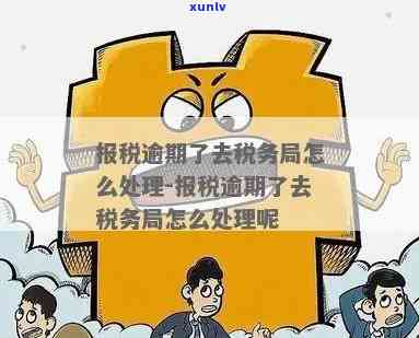 税务局处理逾期，应对逾期：税务局采取行动