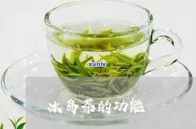 喝冰岛茶的好处，揭秘喝冰岛茶的五大好处，让你爱上这款健饮品！