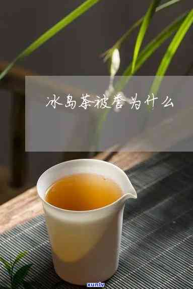 喝冰岛茶的是什么人-喝冰岛茶的是什么人群