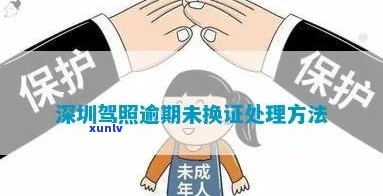 冰岛生茶怎么样，深度解析：冰岛生茶的品质与口感如何？