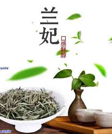 兰妃茶属于什么茶，探究兰妃茶的品种归属，它属于哪一类茶叶？