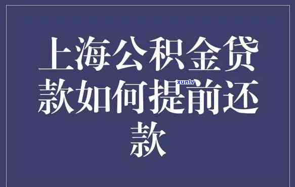 上海贷款还款，怎样在上海成功偿还贷款？关键步骤与技巧分享