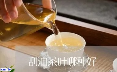 刮油的茶叶是什么茶-刮油的茶叶是什么茶叶