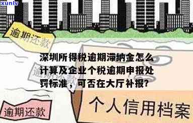 深圳企业所得税逾期申报可去大厅补报吗，深圳企业：所得税逾期申报，可在大厅实施补报！