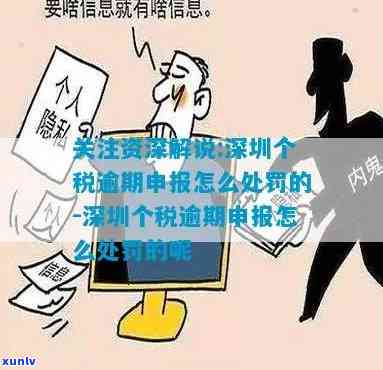 深圳企业个税逾期申报-深圳企业个税逾期申报怎么解决