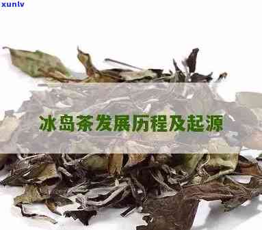 冰岛茶是什么时候出名的？探究其起源与发展历程