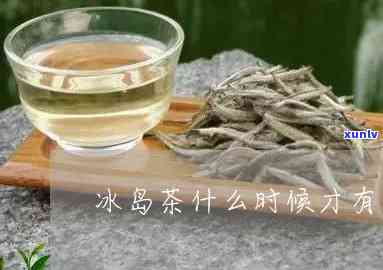 冰岛茶什么时候出的-冰岛茶什么时候出的茶叶