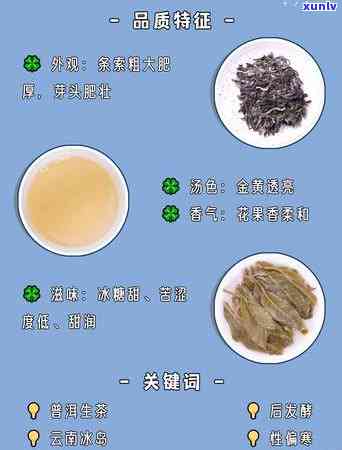 冰岛茶多少钱一瓶，冰岛茶的价格：一瓶多少钱？