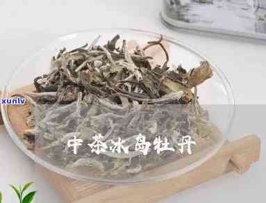 中茶茗山白冰岛牡丹-中茶名山系列之冰岛