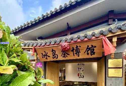 冰岛古树茶乡29号酒店，探索冰岛古树茶乡：29号酒店的独特体验