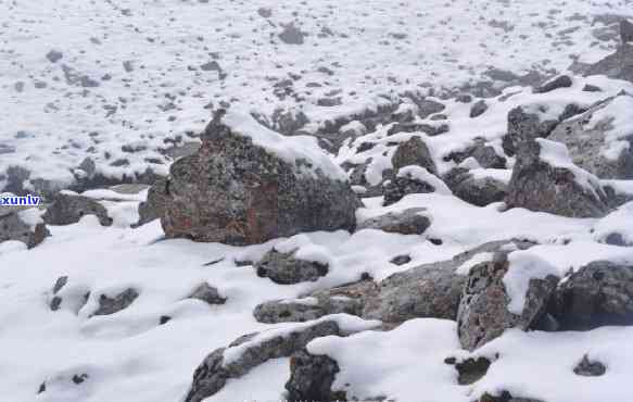 雪山有多少原石可以捡，探索雪山：揭秘可拾取原石数量