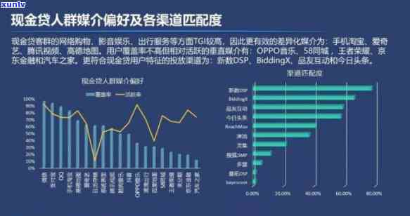 华信财借款人群，深入熟悉华信财借款人群：特征、表现与市场需求