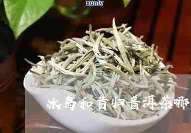 昔归与冰岛哪种茶好-昔归茶属于啥档次的