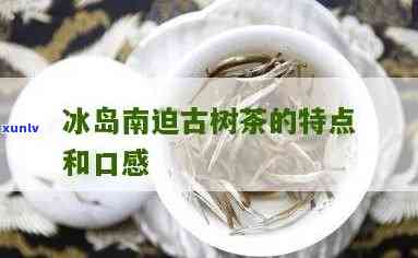 南迫茶和冰岛茶的区别：特点、价格与口感分析