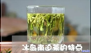 南迫茶和冰岛茶的区别：特点、价格与口感分析