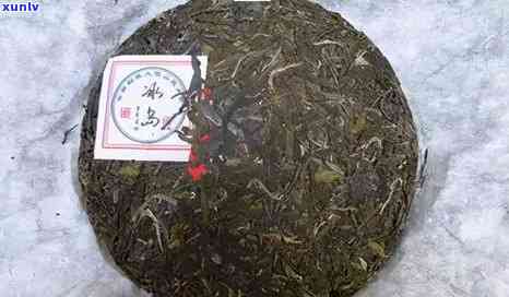 97年冰岛古树茶多少钱一斤，探究千年古树茶——97年冰岛普洱茶的价格与价值