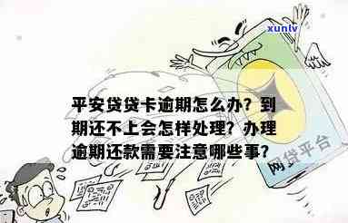 直播间翡翠吊坠购买指南：真的还是假的？直播揭秘真相