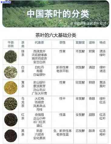 探索绿茶与普洱茶的减肥潜力：哪个更有效？