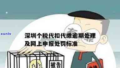 深圳单位个税逾期申报怎样办理及处罚标准，是不是可网上申报？