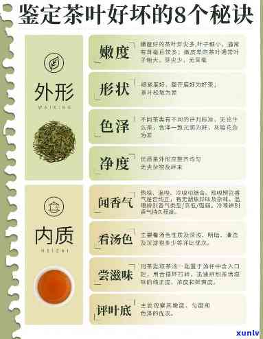 怎么分辨茶叶好坏？看图学视频，一文教会你！