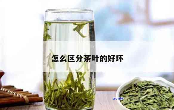 怎么分辨茶叶好不好-怎么分辨茶叶好不好喝