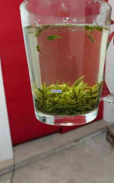 什么茶叶泡后茶叶竖着？绿茶、乌龙茶等特定品种在冲泡后会有此现象，科学解释与品鉴技巧分享