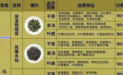 怎样知道茶叶好？全面解析判断茶叶品质的 *** 