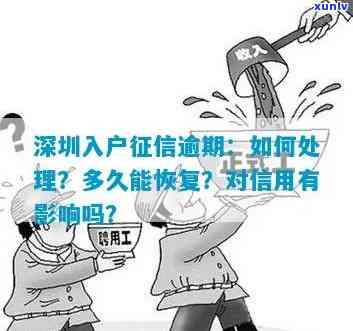 逾期是不是作用深圳入户？熟悉其对深户的作用