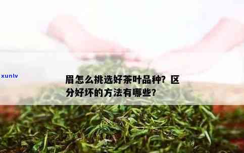 怎样挑选茶叶的好坏-怎样挑选茶叶的好坏呢