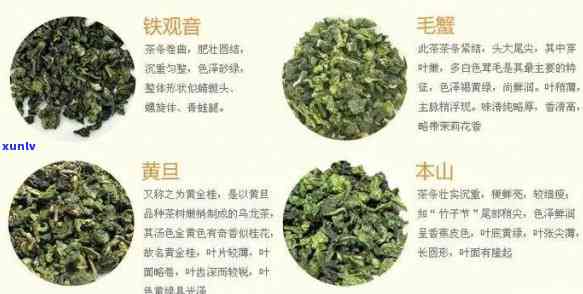 各类茶叶功效一样吗图片，探究各类茶叶的神奇功效：一张图告诉你不同茶叶的不同益处！