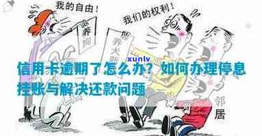 深圳花呗逾期停息挂账办理  ：怎样申请与暂时无力还款的情况