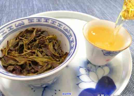 明前春尖普洱茶的独特风味、 *** 工艺与品饮体验