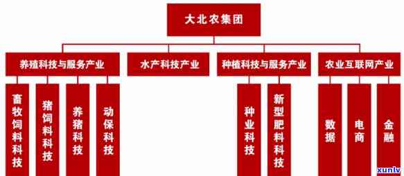 深圳市大生农业集团百科：最新消息、  信息与产品供应链深度解析