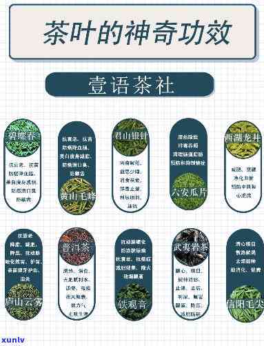 70种茶叶功效大全，探索茶叶的神奇世界：70种茶叶的功效大全