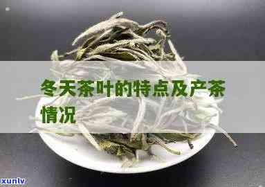 冬茶有什么茶，探秘冬日美味：冬茶有哪些种类？