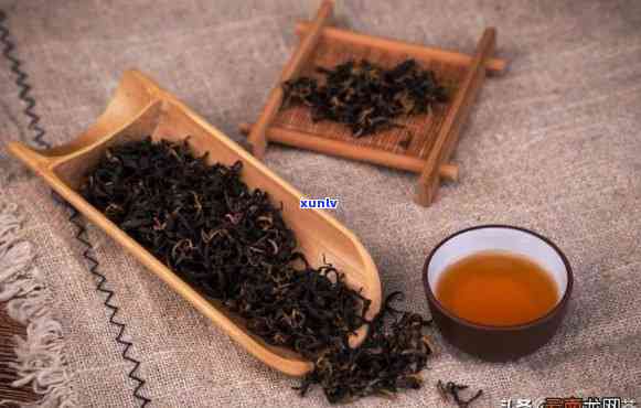 什么茶叶以冬茶为优-什么茶叶以冬茶为优