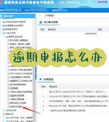 逾期申报操作流程详解：怎样实施逾期申报？
