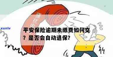 平安保险逾期交费会怎么样，逾期未交平安保险费的结果是什么？