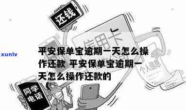 平安保单宝逾期一两天的作用及解决方法