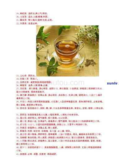 各类茶叶功效与作用-各类茶叶功效与作用及禁忌