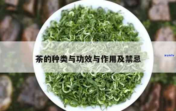 各类茶叶功效与作用-各类茶叶功效与作用及禁忌