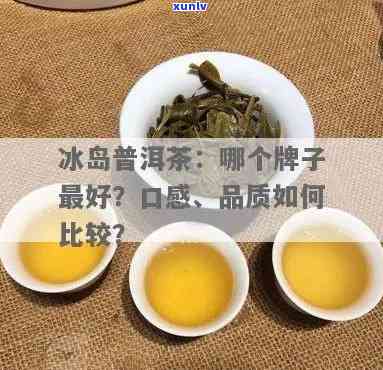 冰岛茶的有那些-冰岛茶的有那些牌子