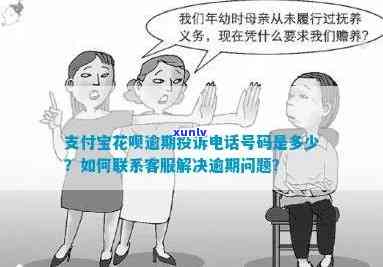 花呗逾期咨询  ：全面解答您的疑问