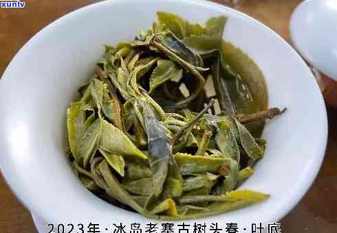 冰岛茶头哪个品种好吃，冰岛茶，哪款口感更胜一筹？——品种口感大比拼